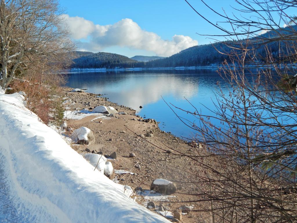 Hochschwarzwald-Hof Hotel Schluchsee Ngoại thất bức ảnh